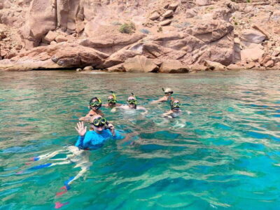 Espiritu Santo Island: Snorkeling Sea Lion Adventure