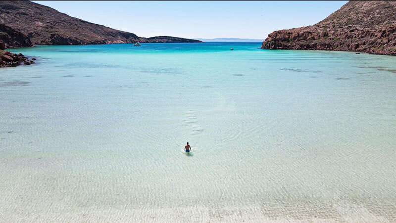 Espiritu Santo Island: Snorkeling Sea Lion Adventure - What the $133 price really covers