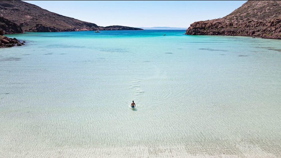 Espiritu Santo Island: Snorkeling Sea Lion Adventure - Who should book this tour?