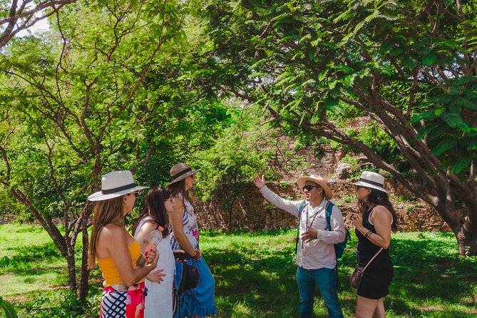 Essence Zapoteca Monte Albán, Barro Negro and Alebrijes for a day. - Booking, Cancellation, and Useful Details