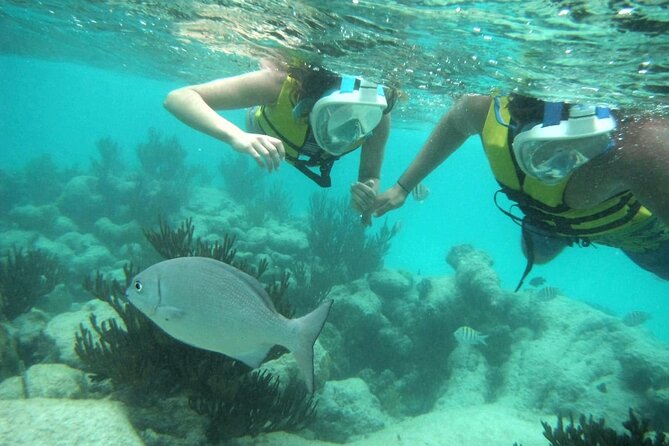 Exotik half a day tour: Cenote Cave and Swimming with Sea Turtles - Price, extra fees, and photo costs