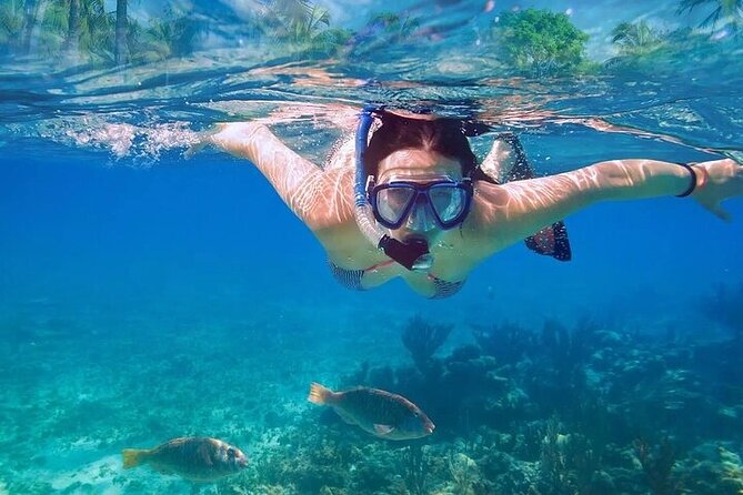 Exotik half a day tour: Cenote Cave and Swimming with Sea Turtles - Who should book this outing?
