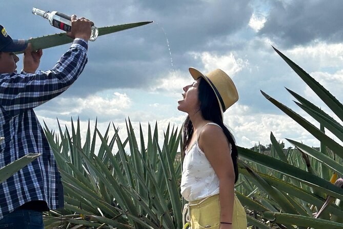 Explore Hierve el Agua, Mitla, Tule, Textile and Mezcal for a day - Mezcal at El Rey de Matatlán
