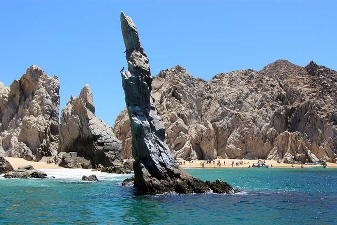 Explore Los Cabos City Tour, Glass-Bottom Boat Ride, Lunch and Shopping! - Lunch at El Herradero Restaurant
