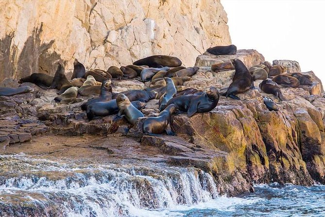 Explore Los Cabos City Tour, Glass-Bottom Boat Ride, Lunch and Shopping! - How to Make the Day Better