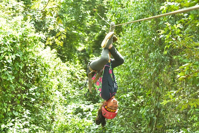 Extreme Horses Adventure with ATV, Ziplines & Cenote - Ziplines and hanging bridges in the trees