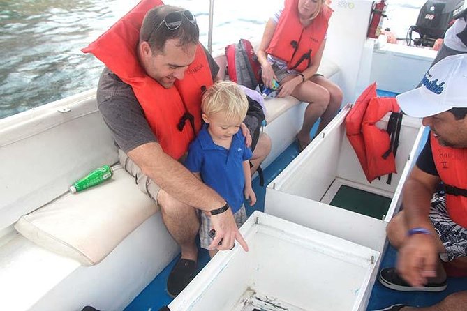 Famous Arch tour with Glass Bottom Boat. - The Cabo San Lucas Arch: the main event