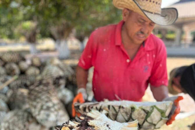 Finca 18 Puerto Vallarta Tequila Tour + Chocolate Pairing - Walking from agave nursery to distillery