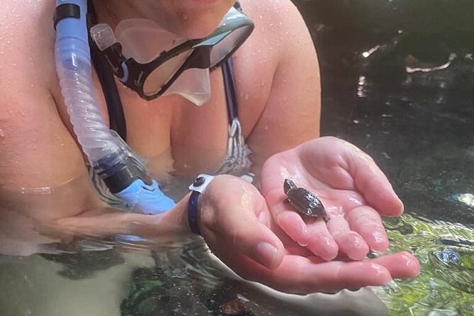 Five Cenotes Jungle Experience in the Riviera Maya - Why the guides matter