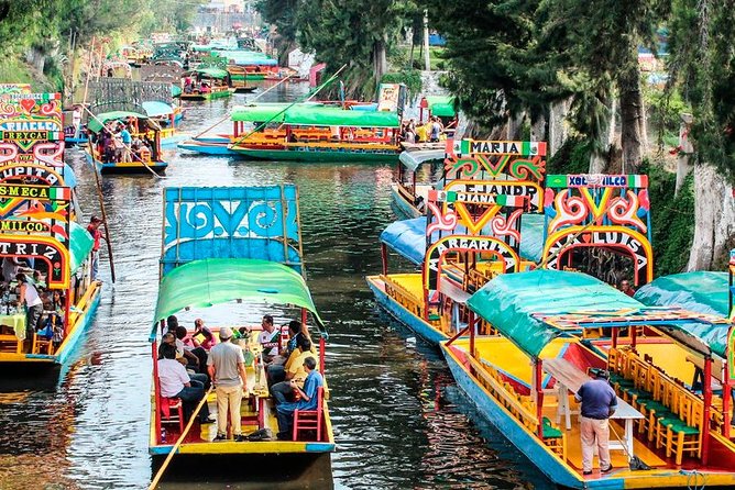Frida Kahlo's House, Coyoacan and Xochimilco - All Day Tour - UNAM and Biblioteca Central: a quick look at a major campus
