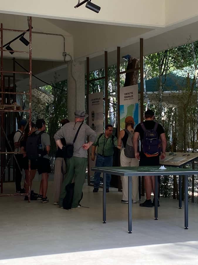 From Bacalar: Calakmul Ruins Expedition & Jungle Trek - Three Hours Among Calakmul’s Maya Temples
