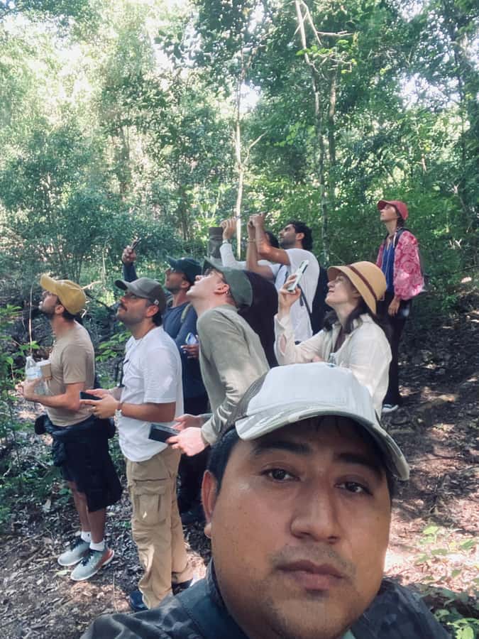 From Bacalar: Calakmul Ruins Expedition & Jungle Trek - The Early Pickup and Three-Hour Ride