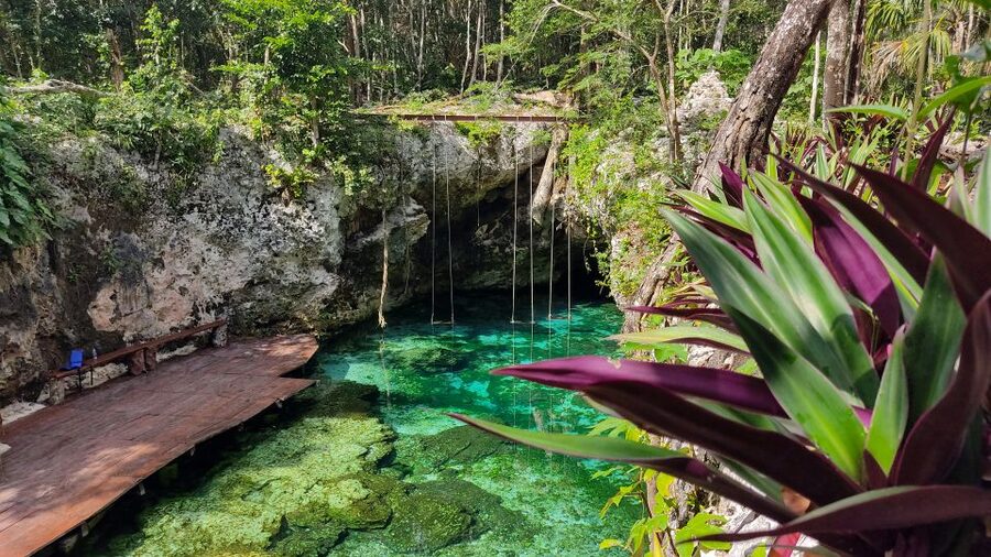 From Cancun: Day Trip to Tulum, Cenote & Playa del Carmen - Who should book this tour