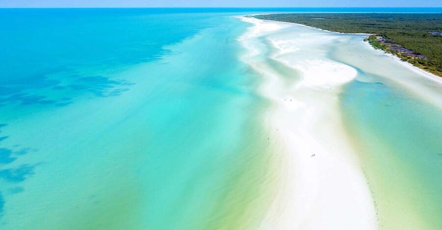 From Cancun or Puerto Morelos: Holbox Boat Tour with Lunch - Isla Pasión and the first taste of Holbox’s coast