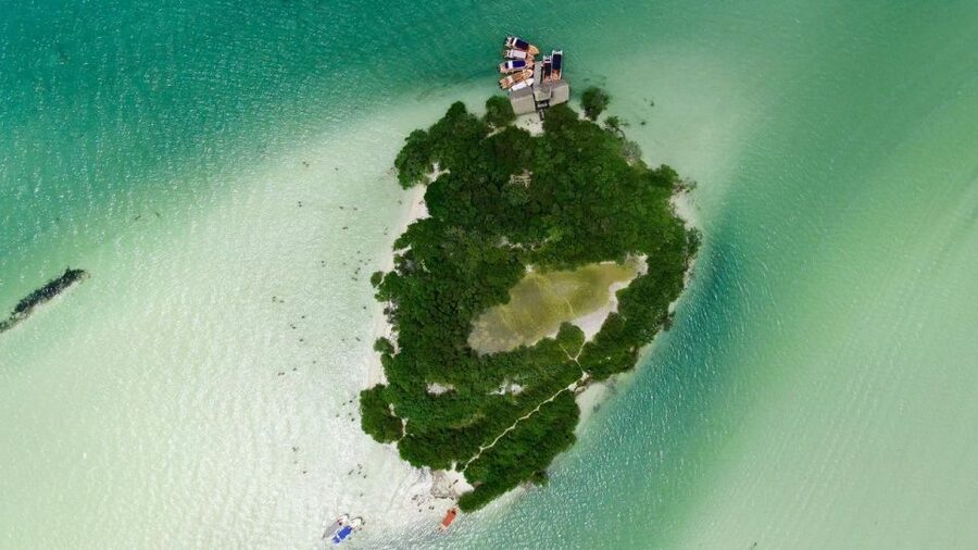 From Cancun or Puerto Morelos: Holbox Boat Tour with Lunch - Two hours to explore Holbox town