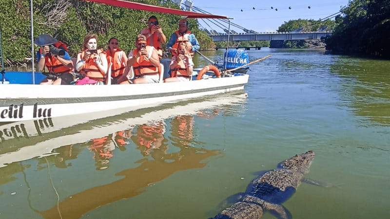 From Cancún: Rio Lagartos & Las Coloradas Day Trip & Lunch - Guides, Drivers, and How the Day Feels