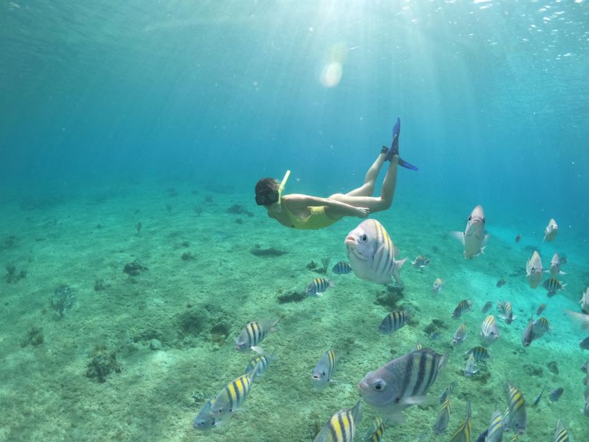 From Cozumel: 3 Reefs Boat Tour with Drinks and Snorkeling - The snack, drinks, and sandbar finish