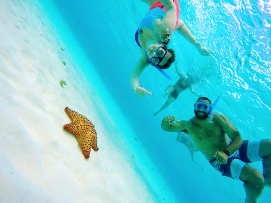 From Cozumel: Starfish, Stingrays and the Turtle Sanctuary - Key points at a glance