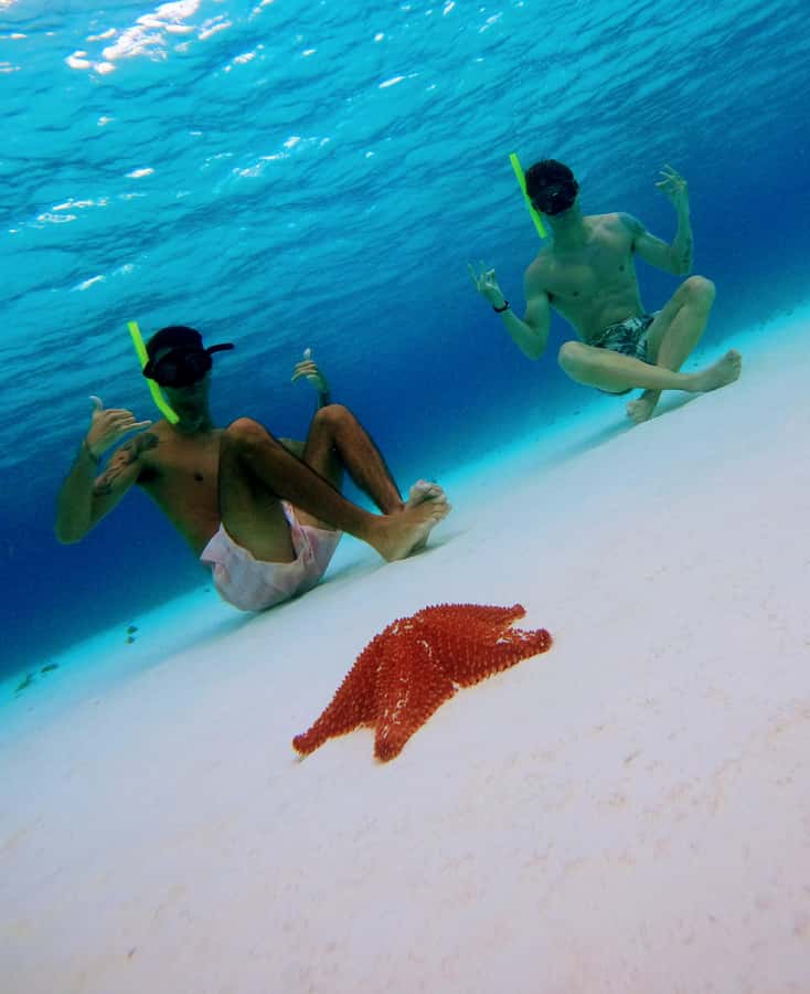 From Cozumel: Starfish, Stingrays and the Turtle Sanctuary - El Cielito’s shallow water and stingrays
