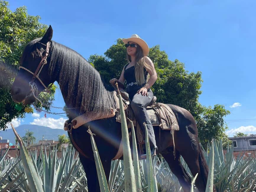 From Guadalajara: Tequila Town and Cantaritos El Guero - Five useful things to know before you go