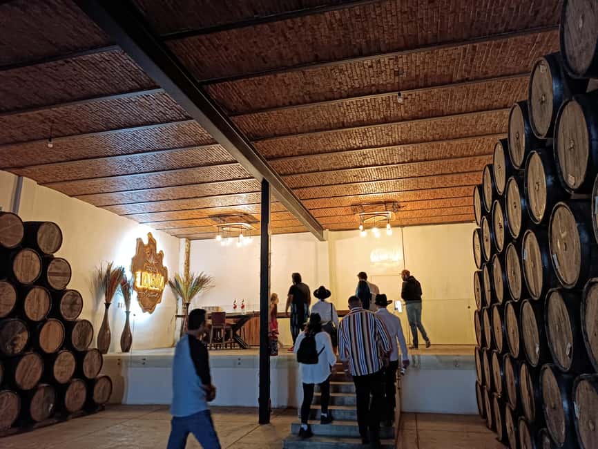From Guadalajara: Tequila Town and Cantaritos El Guero - Amatitán and the fields that explain tequila
