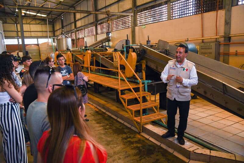 From Guadalajara: Tequila Trail Tour with Tasting - Amatitán and the blue agave fields