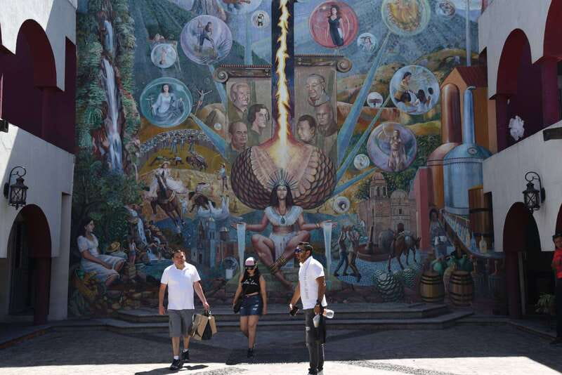 From Guadalajara: Tequila Trail Tour with Tasting - How much time should you allow?