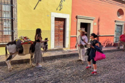 San Miguel de Allende Day Trip