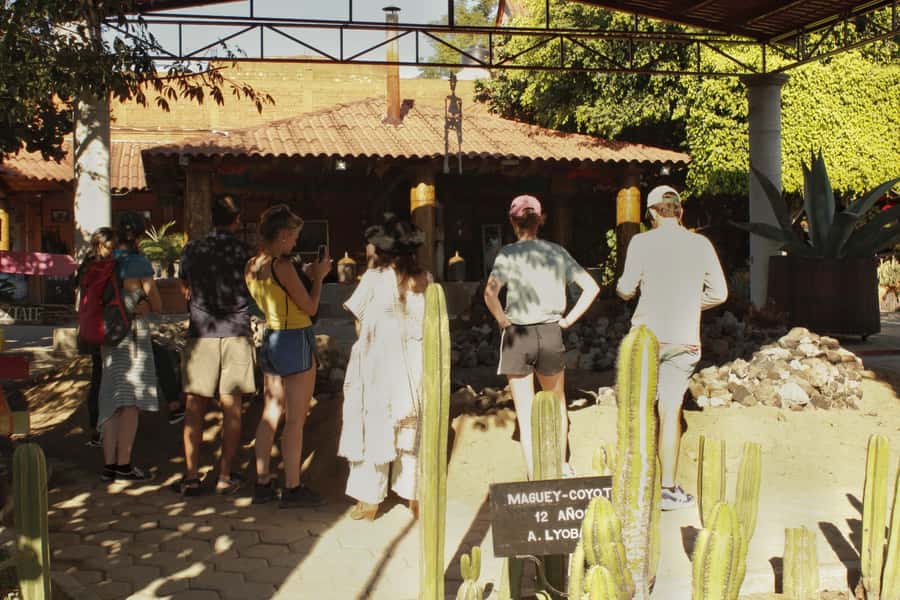 From Oaxaca de Juarez: Hierve el Agua and Mezcal Distillery - What the drive adds to the experience