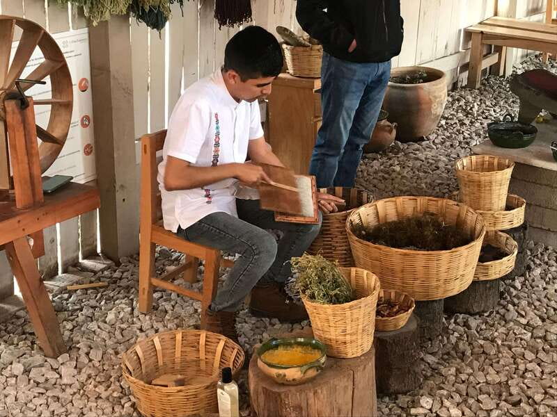 From Oaxaca: Hierve el Agua and Teotitlán del Valle - Mezcal tasting, with a meal beforehand