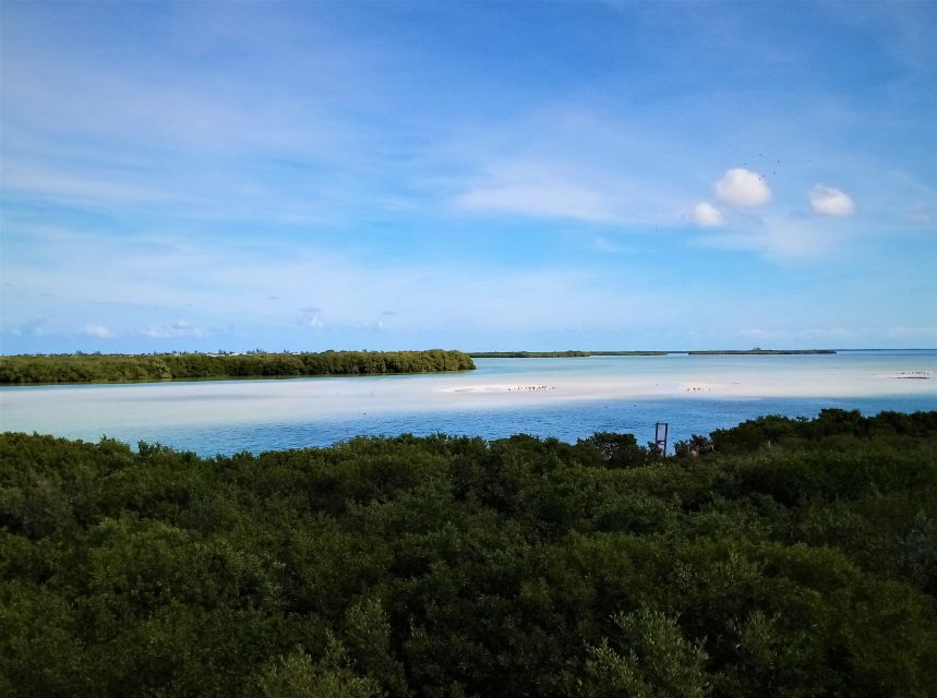 From Riviera Maya: Holbox Full-Day Tour with Lunch - Isla Pasión: beautiful, brief, and worth watching