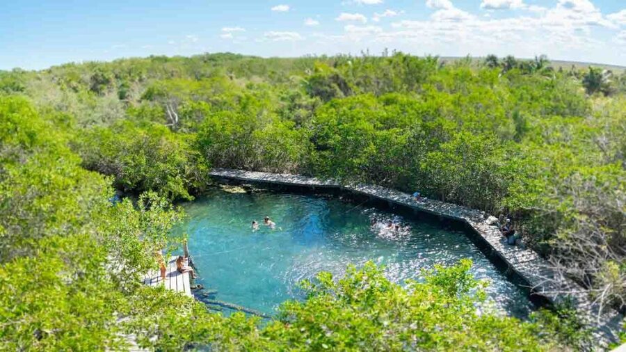 From Riviera Maya: Holbox Full-Day Tour with Lunch - Punta Mosquito and the sandbars