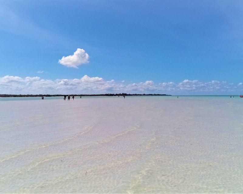From Riviera Maya: Holbox Full-Day Tour with Lunch - Two hours in Holbox town