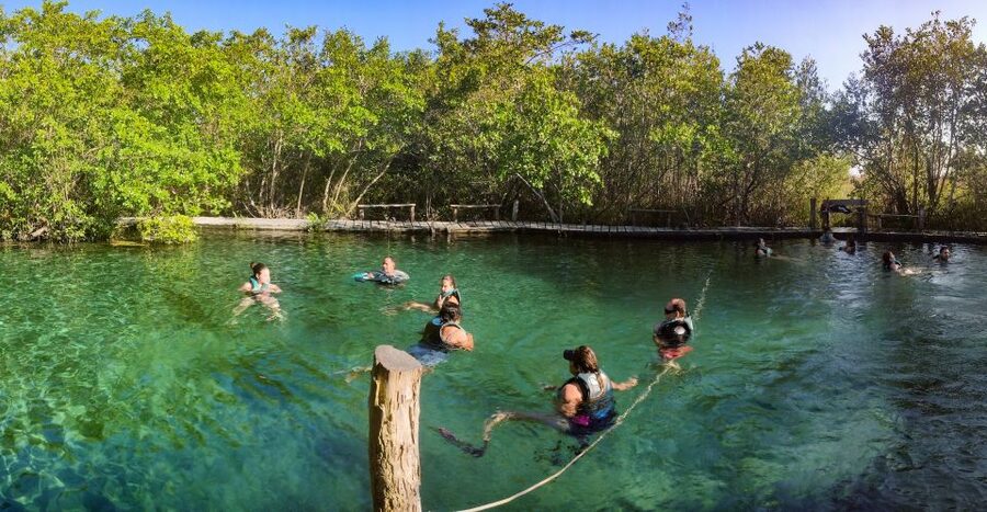 From Riviera Maya: Holbox Full-Day Tour with Lunch - Guides, language, and organization