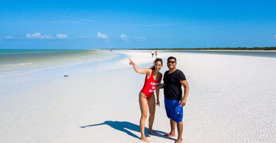 From Riviera Maya: Holbox Full-Day Tour with Lunch - The long road north from the Riviera Maya
