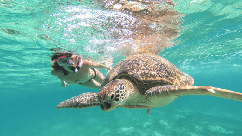From Riviera Maya: Tulum, Cenote, & Akumal Turtle Swim Trip - Who will enjoy this tour most
