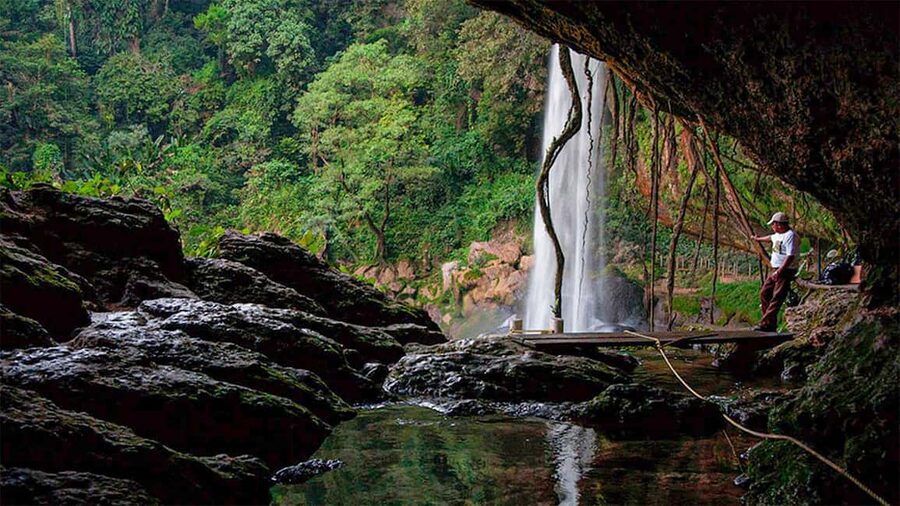 From San Cristóbal: Agua Azul and Palenque Day Trip - Palenque, where the jungle becomes part of the ruins