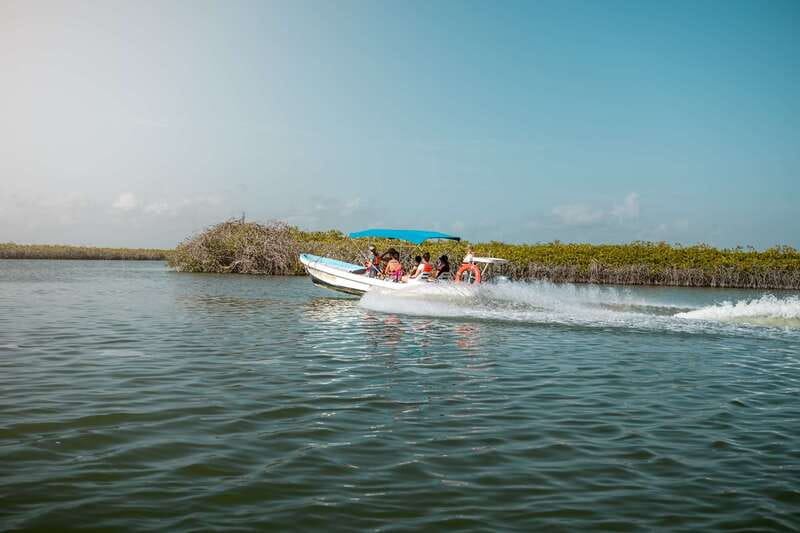 From Tulum: Sian Kaan Boat Trip Adventure with Lunch - The ride back through water and open sea