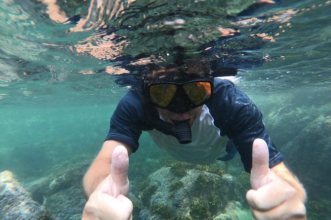 Full-Day Experience in Banderas Bay - Why this Banderas Bay day is worth considering
