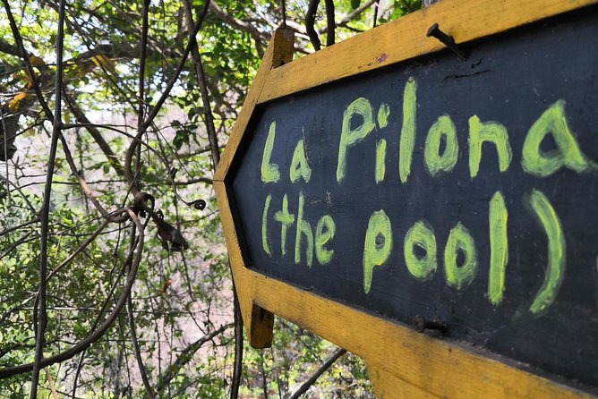 Full-Day Experience in Banderas Bay - Yelapa Waterfalls and the south bay