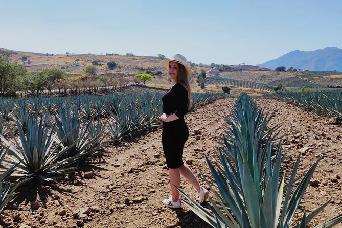 Full Day in Tequila with Tasting and party in Cantaritos - Who should book this experience