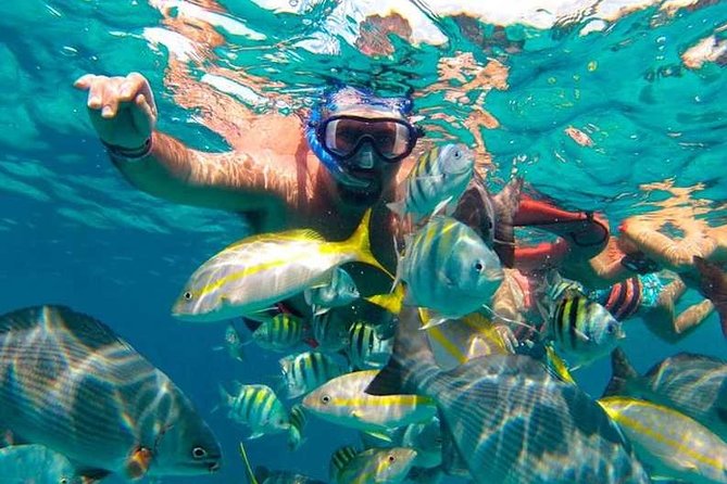 Full-Day Luxurious Catamaran Adventure - Cancún to Isla Mujeres - Lunch, drinks, music, and the party atmosphere