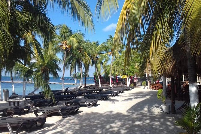 Full-Day Luxurious Catamaran Adventure - Cancún to Isla Mujeres - The return sail and practical concerns