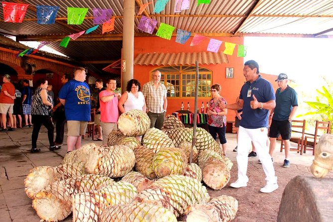Full-Day Puerto Vallarta City Highlights Tour - Las Juntas y los Veranos: coffee, tequila, and a long ride