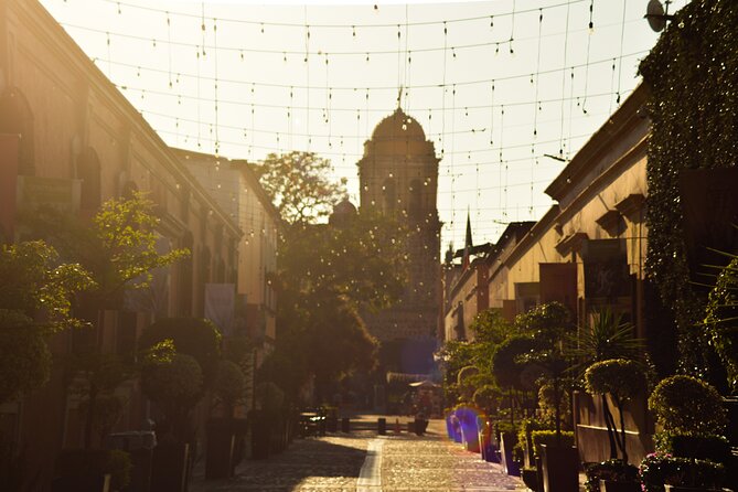 Full-Day Tequila Tour from Guadalajara - What $139 buys you