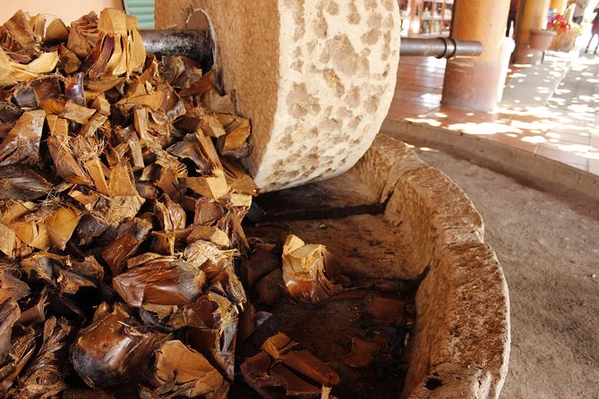 full day tour : Boil the water, Teotitlan, Mezcal, tule and Mitla - Mezcal Tasting: Convenient, Not Always Intimate