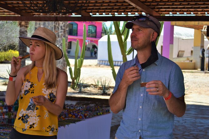 Full Day Tour to Tequila and Amatitán with Fun and Culture - Who will enjoy this most