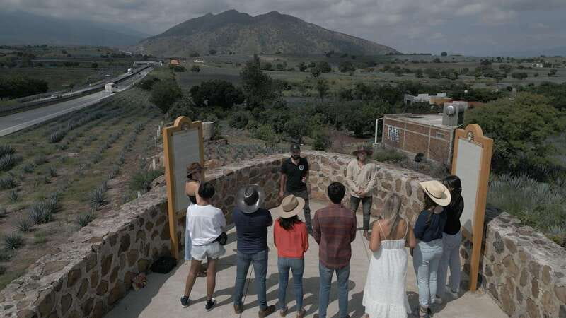 Guadalajara: Premium Tequila Tour with Tastings and Pairings - A long but well-shaped day from Guadalajara