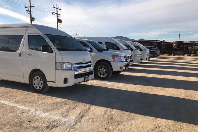 Guadalupe Valley Private Driver Tour - Monte Xanic: a polished final winery stop