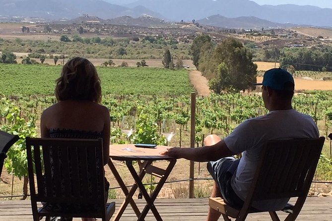 Guadalupe Valley Wine Route Tour in Baja California - Wine tasting costs extra, so plan your budget